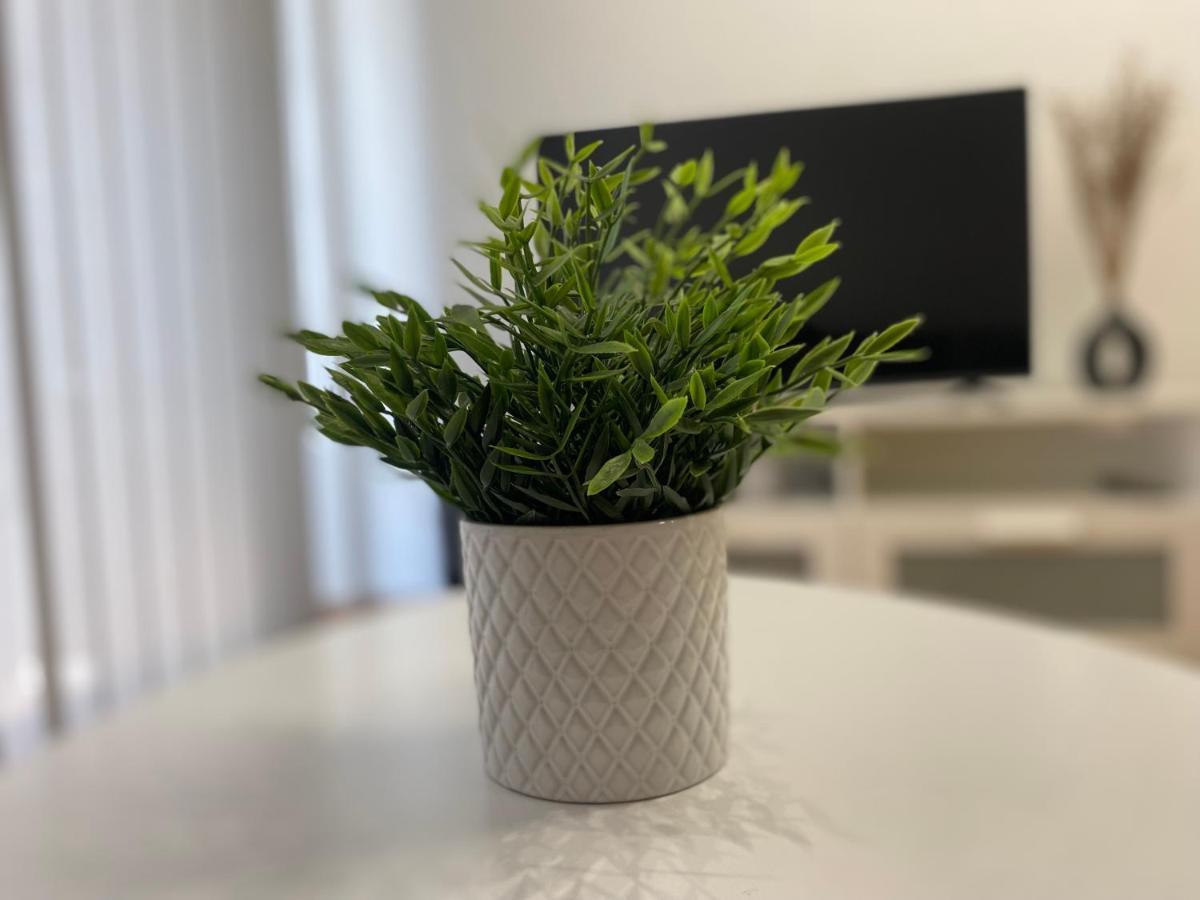 Apartamento Borgia - Gandia Zewnętrze zdjęcie